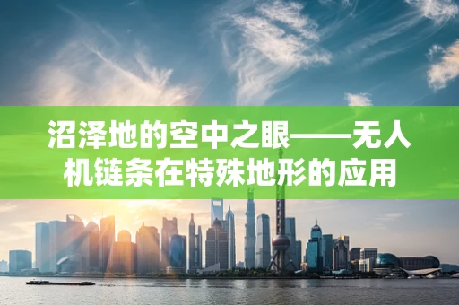 沼泽地的空中之眼——无人机链条在特殊地形的应用