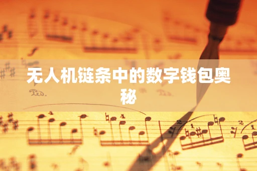 无人机链条中的数字钱包奥秘