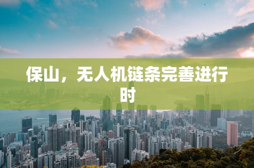 保山，无人机链条完善进行时