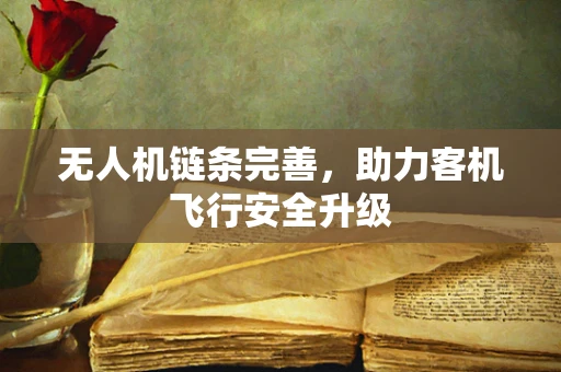 无人机链条完善，助力客机飞行安全升级