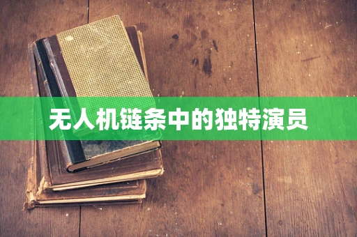 无人机链条中的独特演员