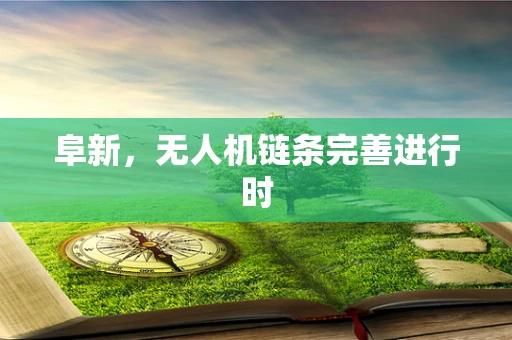 阜新，无人机链条完善进行时