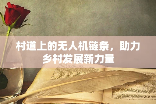 村道上的无人机链条，助力乡村发展新力量