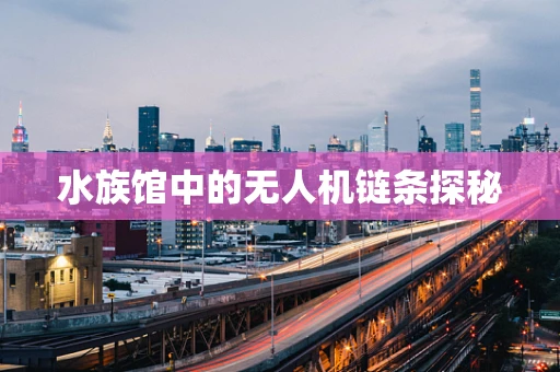水族馆中的无人机链条探秘