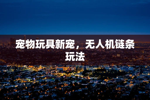宠物玩具新宠，无人机链条玩法