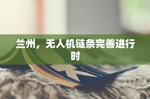 兰州，无人机链条完善进行时