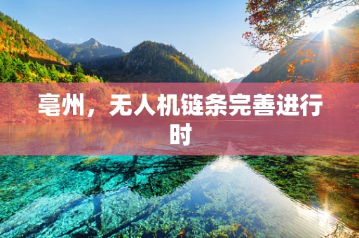 亳州，无人机链条完善进行时