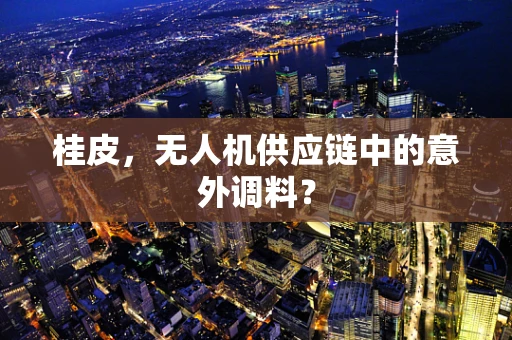 桂皮，无人机供应链中的意外调料？
