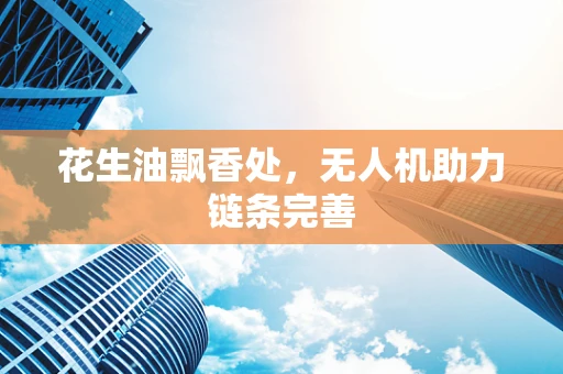 花生油飘香处，无人机助力链条完善