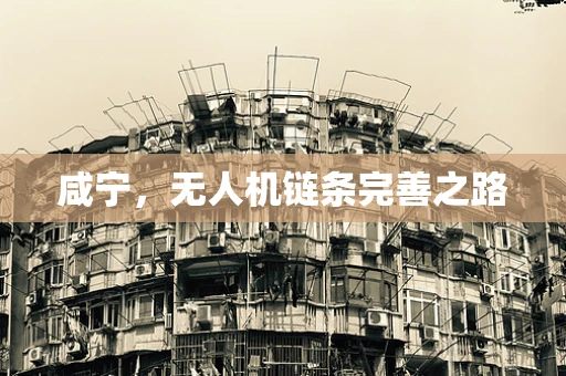 咸宁，无人机链条完善之路