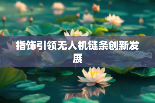 指饰引领无人机链条创新发展