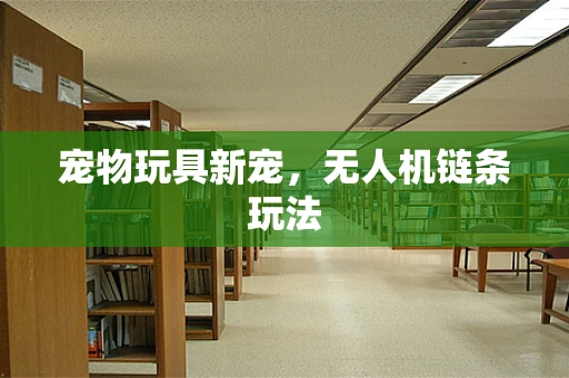 宠物玩具新宠，无人机链条玩法