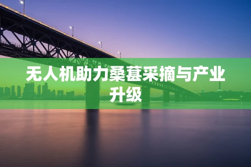 无人机助力桑葚采摘与产业升级