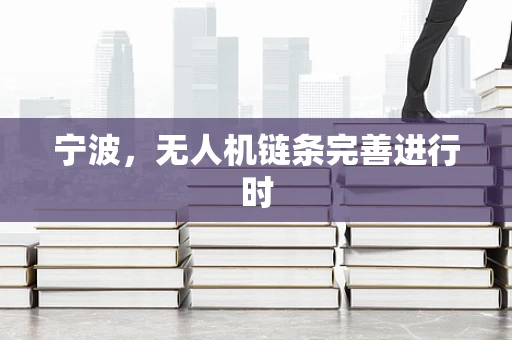 宁波，无人机链条完善进行时