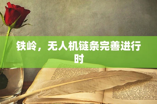 铁岭，无人机链条完善进行时