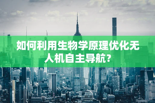 如何利用生物学原理优化无人机自主导航？